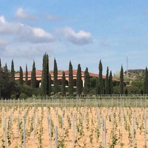 Экскурсии в винные погреба